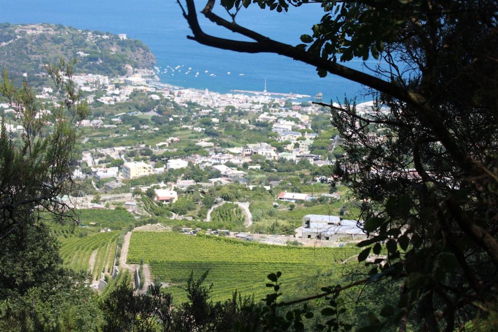 Hotel Regina Palace Terme Ischia Kültér fotó